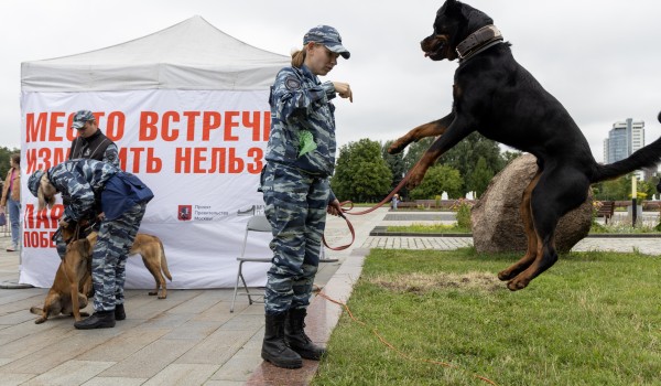 Гости мемориального комплекса на Поклонной горе познакомились с профессией кинолога