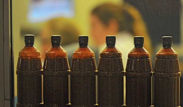 Россияне предпочитают пиво остальным алкогольным напиткам