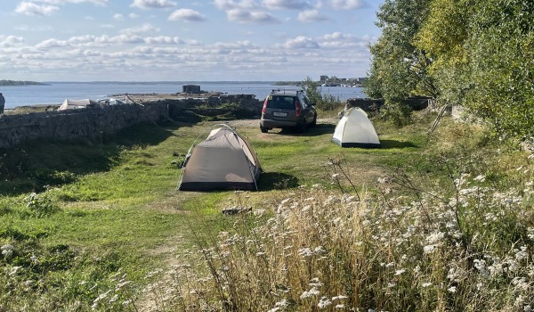 Ученые МГУ нашли останки тропической черепахи в Белом море