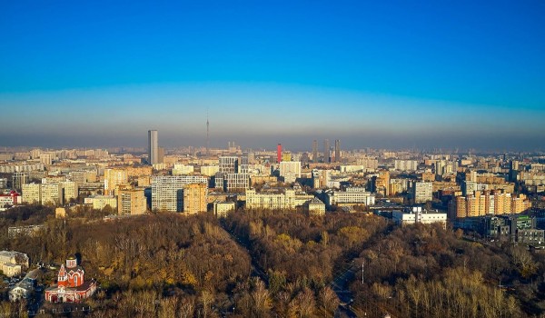 Более 120 земельных участков арендовали и купили у города на аукционах в 2024 году