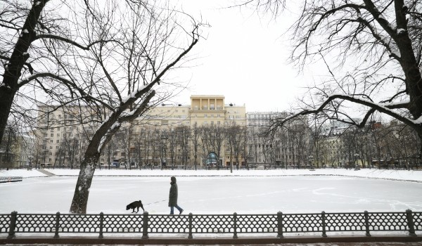 Облачность и снег ожидаются в Москве 14 декабря