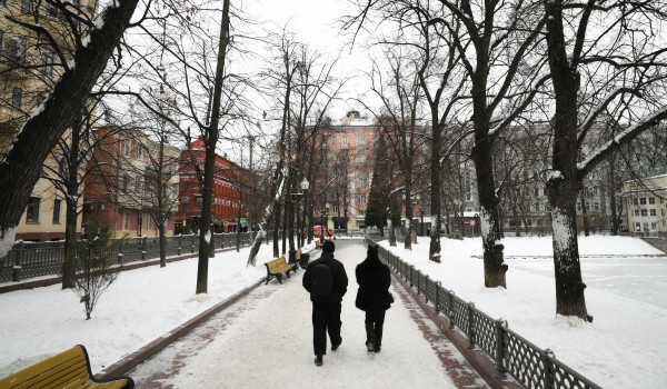 Облачная погода, снег и до 10 градусов мороза ожидаются в городе 19 декабря