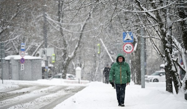 Леус: Четверг в Москве станет самым холодным днем декабря