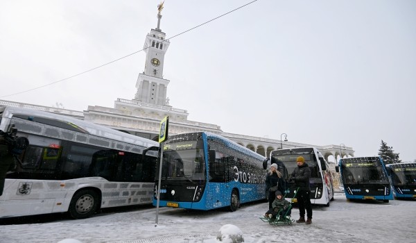 Добраться до горнолыжных склонов Москвы можно на 22 маршрутах наземного городского транспорта