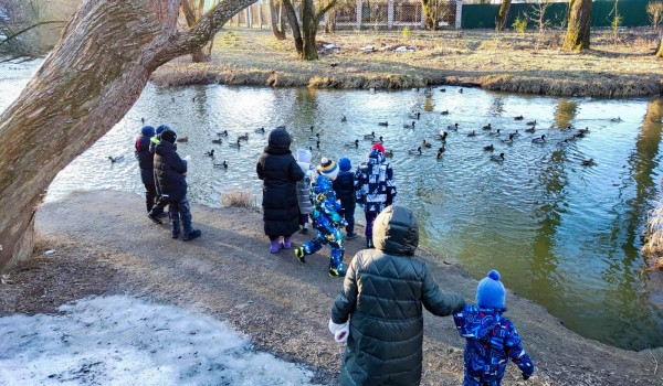 Экоцентры подсчитали водоплавающих птиц на природных территориях Москвы