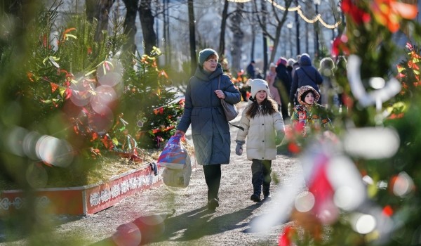 Облачная погода и до 3 градусов тепла ожидаются в городе 28 февраля