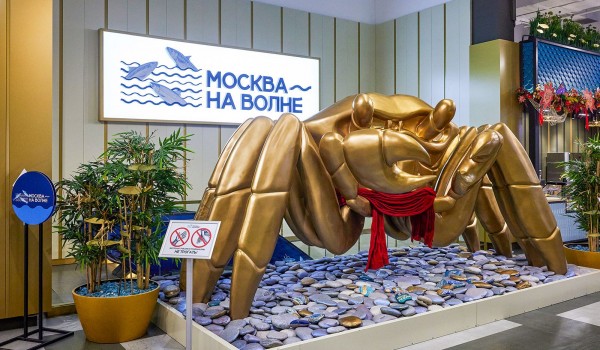 Мастер-классы для детей ко Дню Победы проведут на рыбных рынках «Москва — на волне»