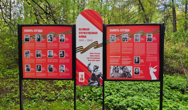 Аллею Славы реконструировали в парке «Северное Тушино» к 80-летию Победы