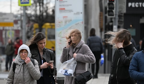 Москвичей предупредили о сильном похолодании вечером и ночью 9 мая