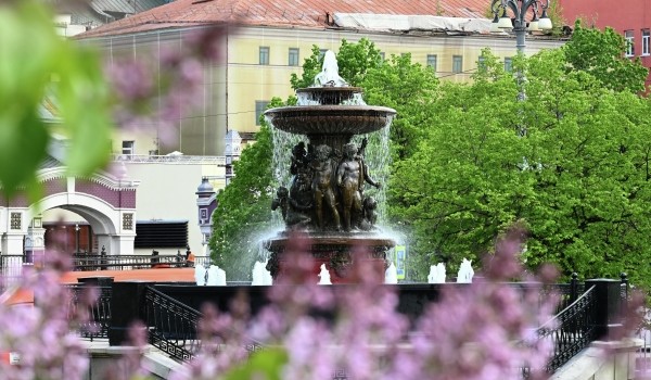 Облачная погода и до 23 градусов тепла ожидаются в Москве 22 мая
