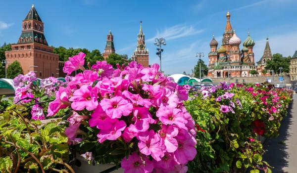 Площадки фестиваля «Сады и цветы»