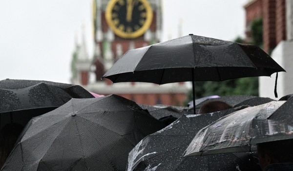 Облачная погода, гроза и до 25 градусов тепла ожидаются в Москве 16 июня