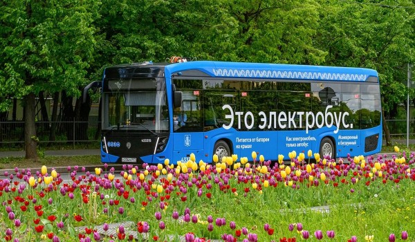 Электробусы вышли на два новых маршрута на востоке столицы