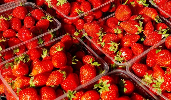 Более 100 т. клубники продали в июне на столичных ярмарках выходного дня