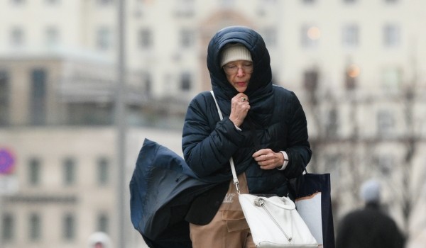 Синоптик Тишковец: Почти 20% месячной нормы осадков выпало в Москве за минувшие сутки