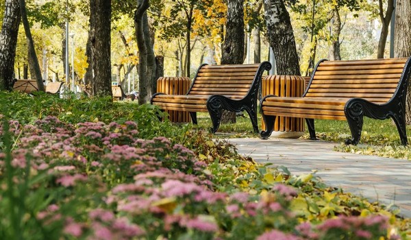 Свыше 200 зон для отдыха пешеходов обновят в Москве