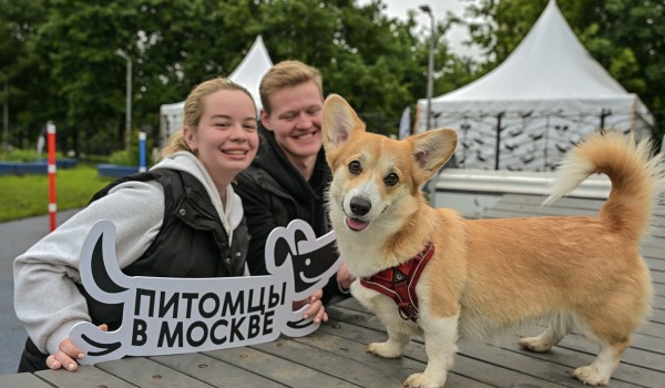 Сергунина: Москвичи назвали самые интересные события проекта «Лето в Москве»