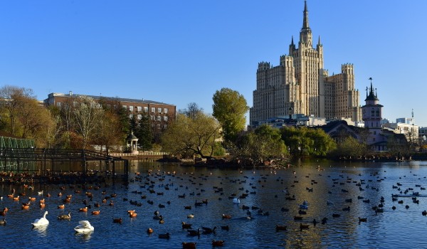 Пара новогвинейских филандеров поселилась в филиале Московского зоопарка