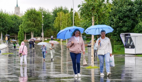 Ливни и грозы ожидаются в течение дня в столице