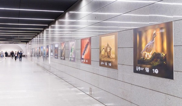 Фотовыставка «Самая красивая страна!» открылась в метро
