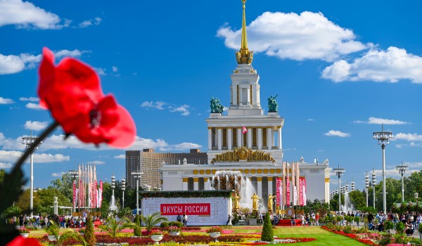 Партнеры фестиваля «Вкусы России» предлагают гостям оригинальную программу мероприятий