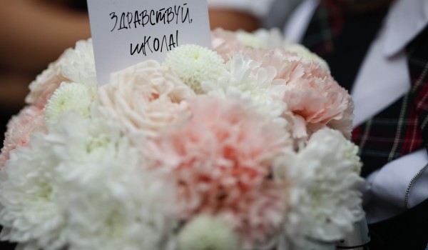 27 августа — пресс-конференция «Новый учебный год: акцент на детской безопасности»