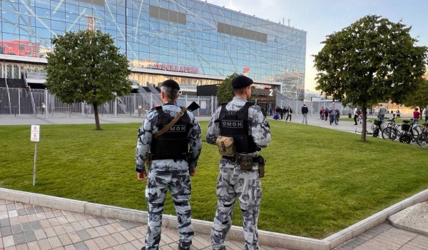 Безопасность хоккейного матча в Москве обеспечена при содействии Росгвардии