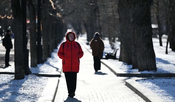 Синоптик Тишковец: Метеорологическая зима в Москве наступит во второй половине ноября