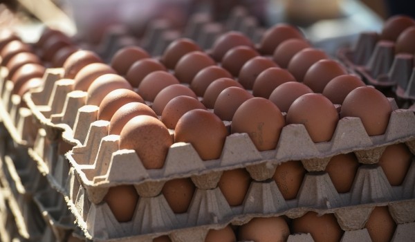 Почти на 3% подешевели социально значимые продукты в РФ в сентябре