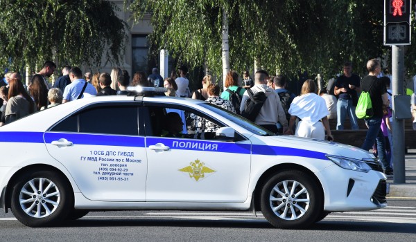Шесть человек погибли в ДТП в столице 6–12 октября