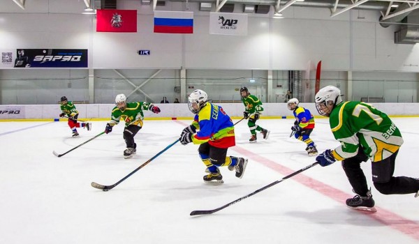 Турнир по хоккею среди детских дворовых команд пройдет в Москве