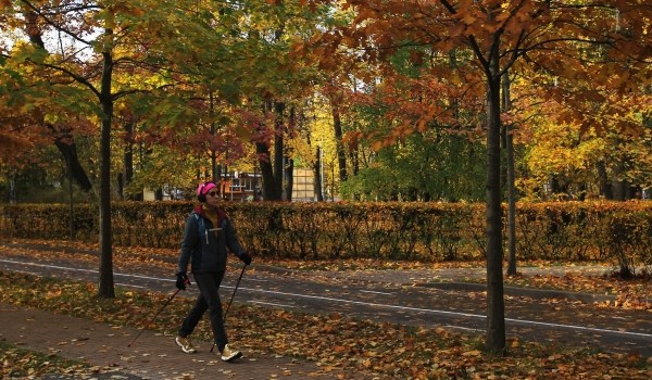 Осень без простуды. Как укрепить иммунитет?