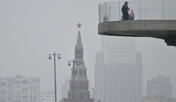 Облачная погода и до 8 градусов тепла ожидаются в Москве 29 октября