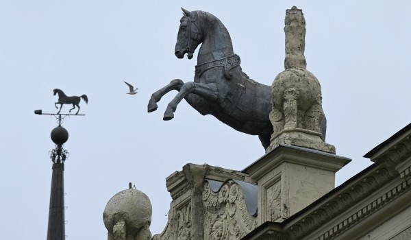 Свыше 22 га территории благоустроят при реконструкции Московского ипподрома