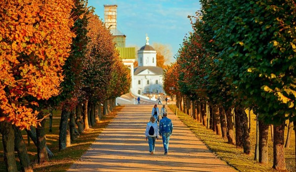 Участники «Активного гражданина» выберут лучшие маршруты для осенних прогулок по усадьбам Москвы