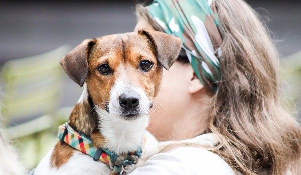 Горожанам рассказали, как разнообразить будни домашнего животного