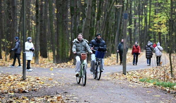 Синоптик Шувалов рассказал о погоде на ноябрьские праздники в Москве