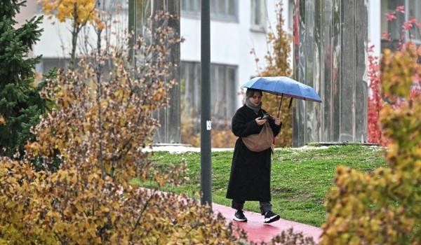 Синоптик Леус: Около 25% месячной нормы осадков может выпасть в Москве в пятницу