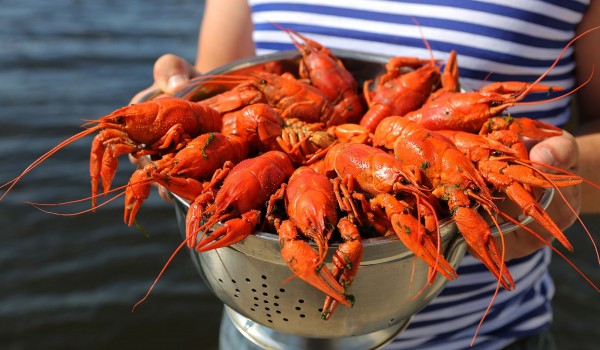 Гастрономический фестиваль пройдет в «Доме российской кухни» на ВДНХ