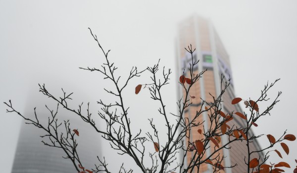 Синоптик Позднякова: Туман удержится в столичном регионе до 11:00