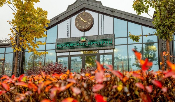 Участники проекта «Уличный артист» теперь могут выступать на московских ярмарках