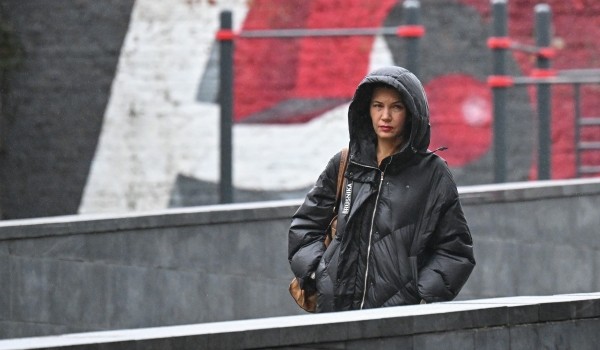 Облачная погода и до 9 градусов тепла ожидаются в Москве 5 ноября