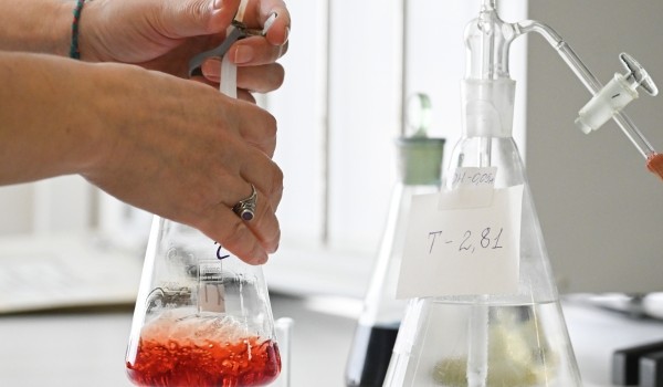 Ученые МГУ уточнили классификацию голожаберных моллюсков