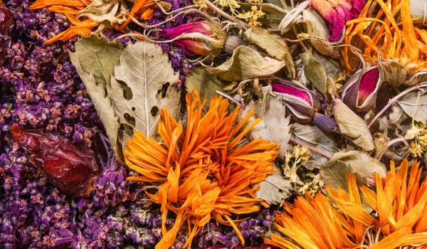 Чаи из разных регионов России представили на московских ярмарках