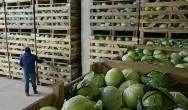 Капуста, картофель и морковь подешевели в столице с начала осени