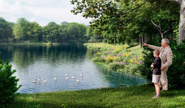 Новоясеневский пруд приведут в порядок на юго-западе столицы