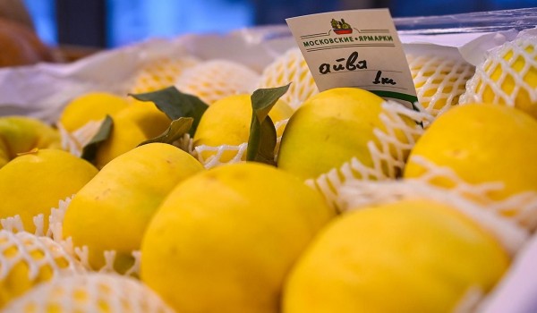 Сезон айвы начался на московских ярмарках