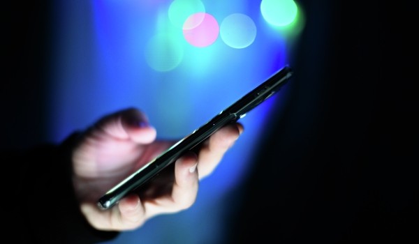 Росгвардия запустила новый онлайн-сервис для повышения антитеррористической защищенности объектов