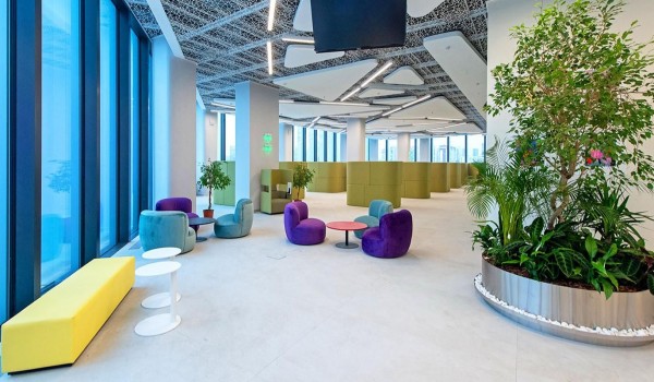 Объявлен конкурс на разработку архитектурной концепции высокотехнологичного кластера «Ломоносов-2»