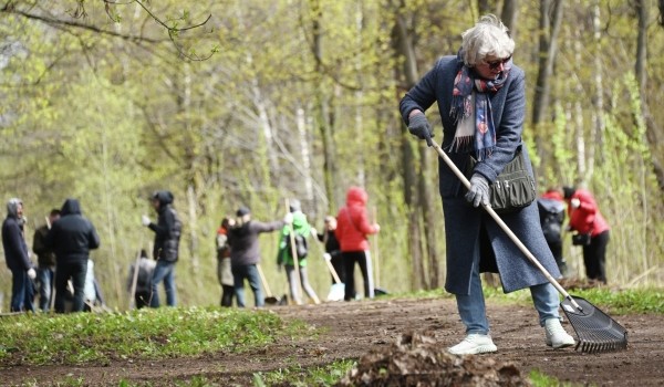 Количество эковолонтеров в Москве увеличилось более чем на 14% за год